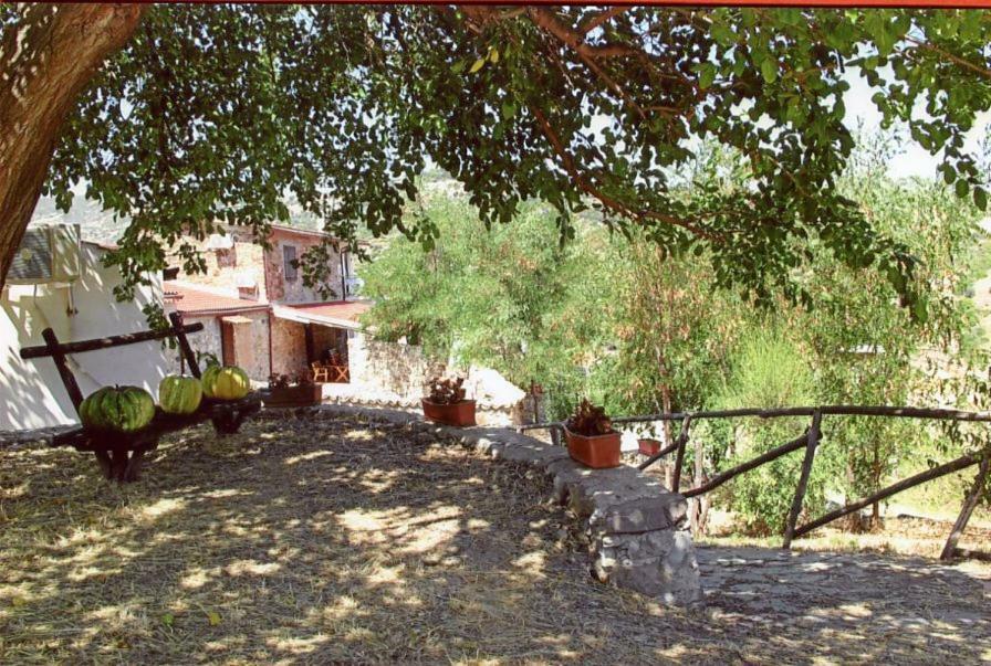 Grassetti Villa Montegiordano Exteriör bild